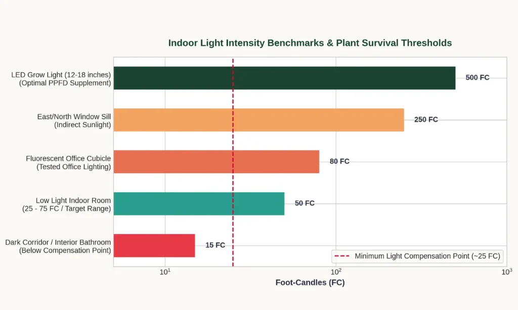 Indoor-Light-Intensity-Benchmarks